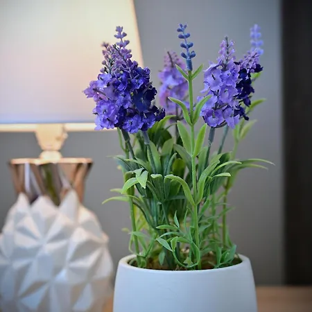 Διαμέρισμα Trevilles Magdalenka