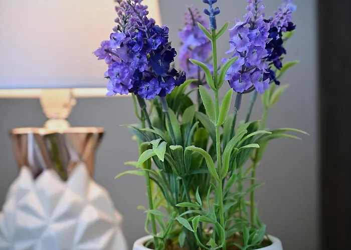 Apartament Trevilles Magdalenka